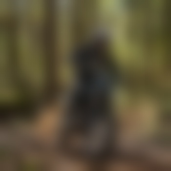 DragonTheCreeper