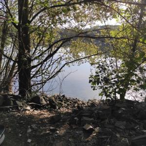 Alberti See, Kiesgrubensee Gremberghoven