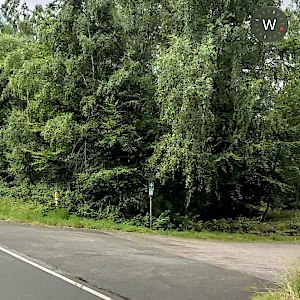 L239 Suderode —> Friedrichsbrunn