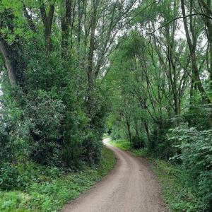 Kalkar/Wissel Parkplatz Fingerhutshof