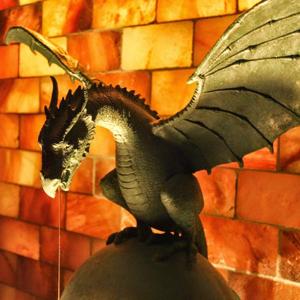 Dragon Sauna