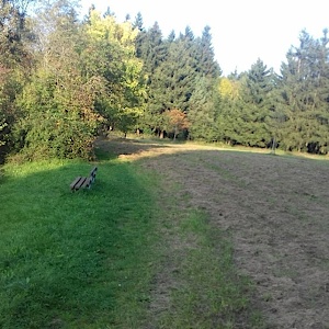 Bochingen Waldparkplatz/See
