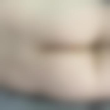 Nils23_mg