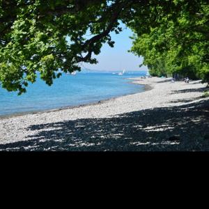 Gohren Kressbronn am Bodensee