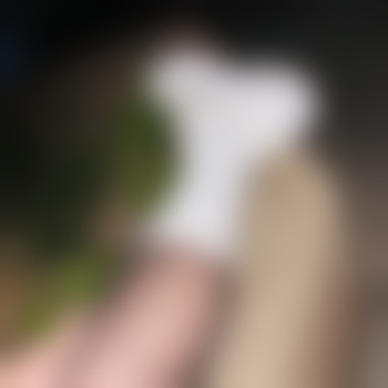 lonelyhorny88