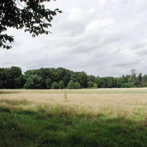 Merheimer Heide