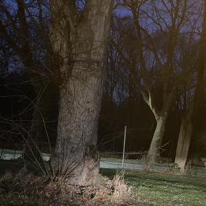 Gelsenkirchen trabrennbahn