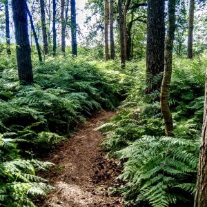 Parkplatz Auesee Espelkamp