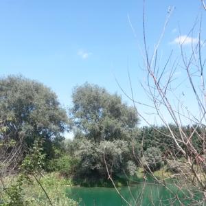 Ramminger Weiher