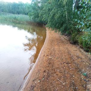 FKK am Niemtscher Strand (Senftenberger See)