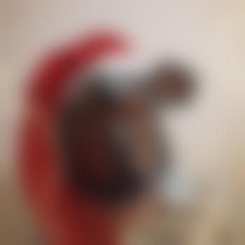 Dog_MG