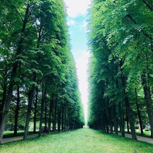 Französischer Garten