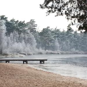 Bullensee