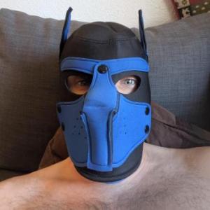 Lotusbluete