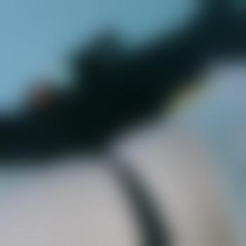 Max_xxl