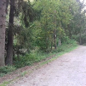 Bochingen Waldparkplatz/See