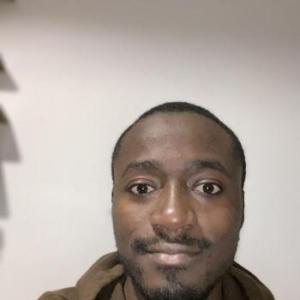 Periplanetaamericana