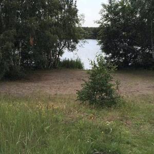 FKK Baggersee güster