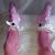 NylonSissyDoll