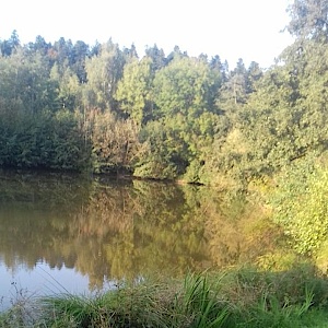 Bochingen Waldparkplatz/See