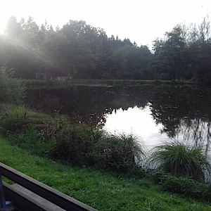 Bochingen Waldparkplatz/See