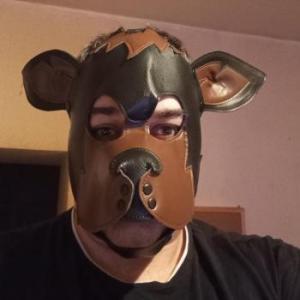 Dog_MG