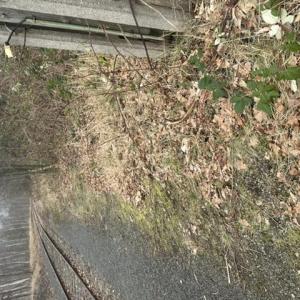 Wasserturm in Görlitz Rauschwalde
