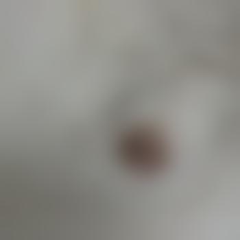 lustaal