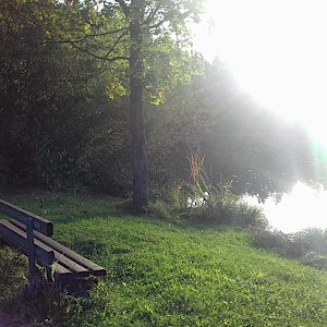 Bochingen Waldparkplatz/See