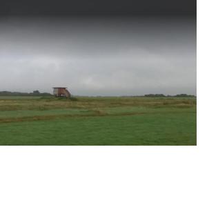 Vogelbeobachtungsturm