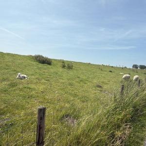 Friesland und Umgebung 