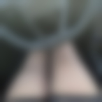 nylonfan81