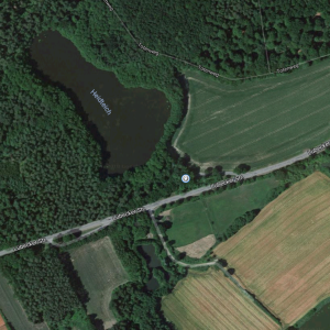 L92 Lauschiger Waldsee