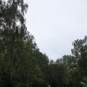 Stadtwaldsee