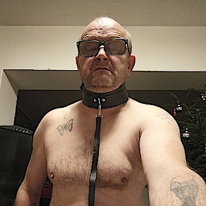 baredevotestute