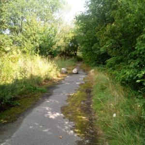 Naturerlebnisraum Langberg / Stiftungsland Nord
