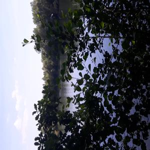 Gevattersee