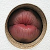 Minetka