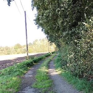 A2 PP Kleine Herrenthey