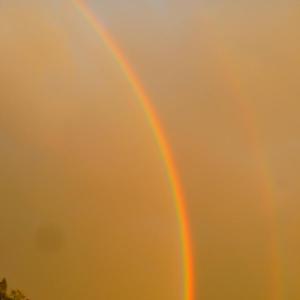 Anal und Dirty Hannover