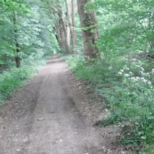 B 401 Parkplatz Dörpen Nord