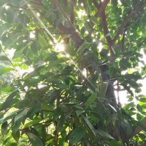 Outdoor in Leipzig und Umgebung