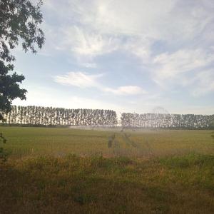 Offen für alles Legale