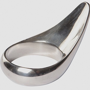 Cockring umd Prince Albert Träger