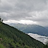 Schlogar-0305