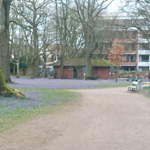 WC Schlosspark Husum