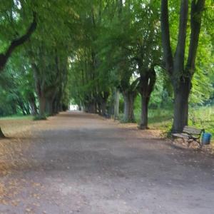 Rombergpark Dortmund