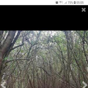 Sex Cruising in Kirchhain