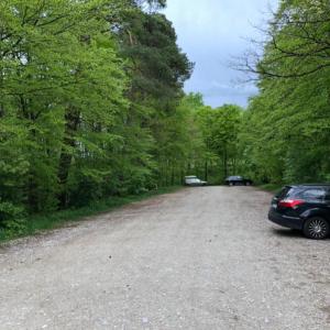 Waldparkplatz