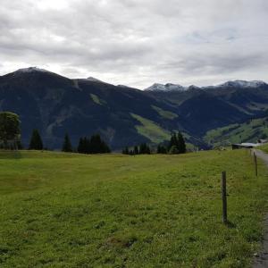 Ruhrquelle   Parkplatz  Wald